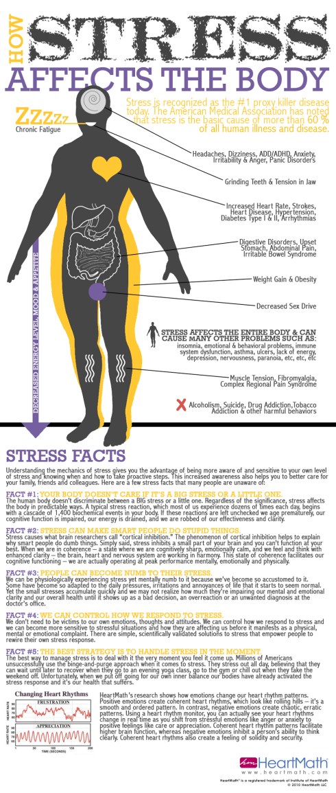 How Stress Affects the Body